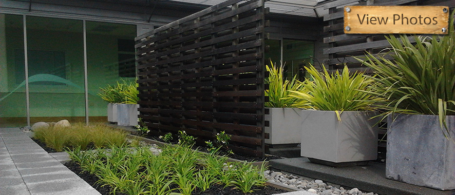 Braemar hospital courtyard planting, original Higher Ground project photograph
