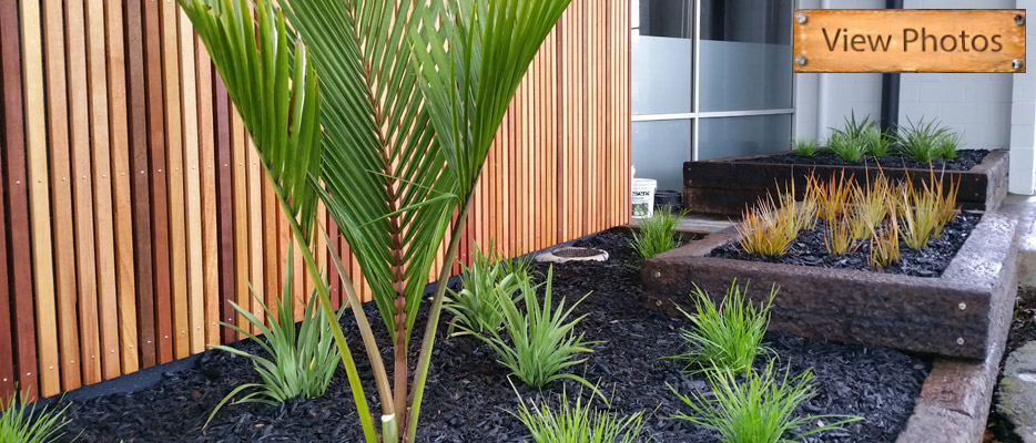 Actual Higher Ground Landscapes project: Hope Chapel Frontage